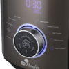 DWMC 3015 Multi Cooker